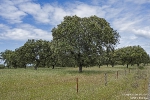 ES-SantaMartaDehesa250508180858